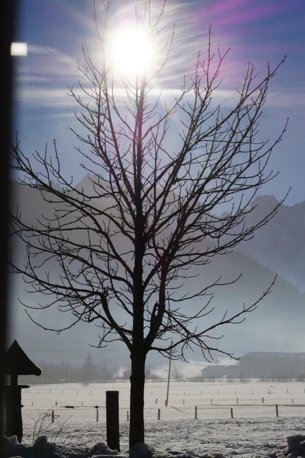 Appartamento Loetje Gosau Esterno foto