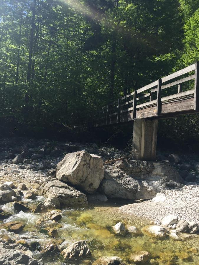Appartamento Loetje Gosau Esterno foto