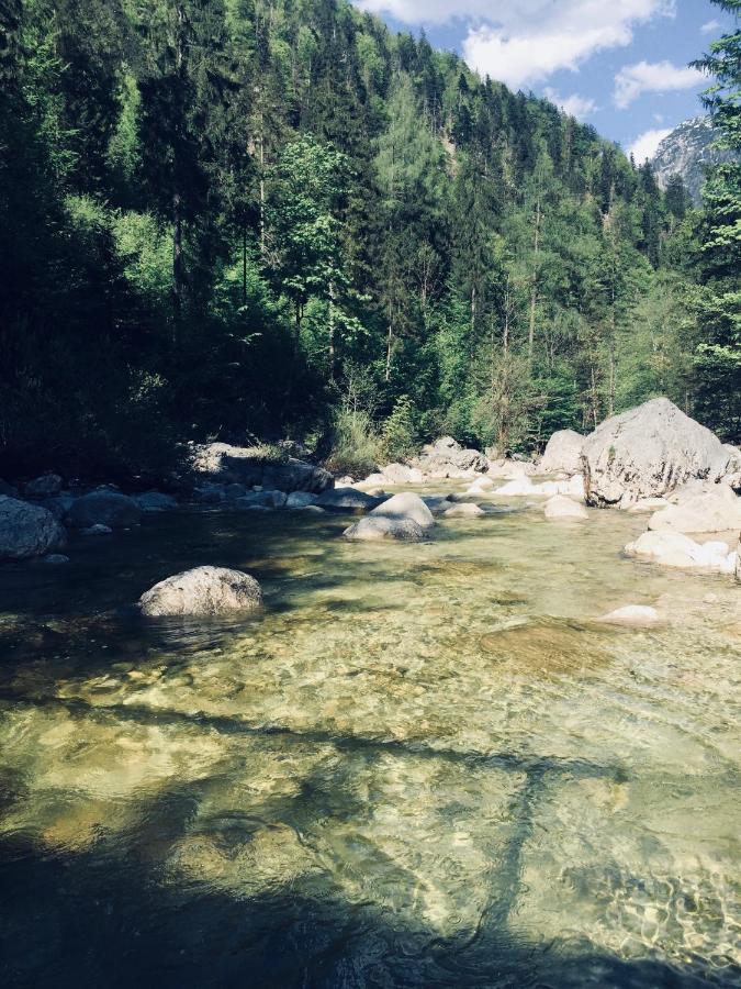 Appartamento Loetje Gosau Esterno foto