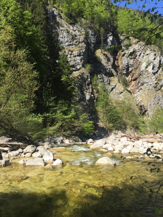 Appartamento Loetje Gosau Esterno foto